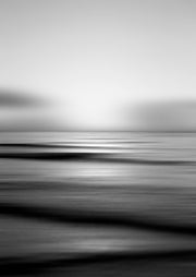 Tropical Sorbet BW