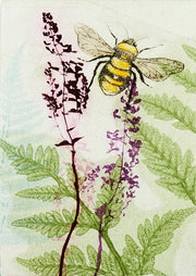 Bees Amongst The Liriope