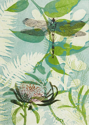 The Elusive Dragonfly And Waratah