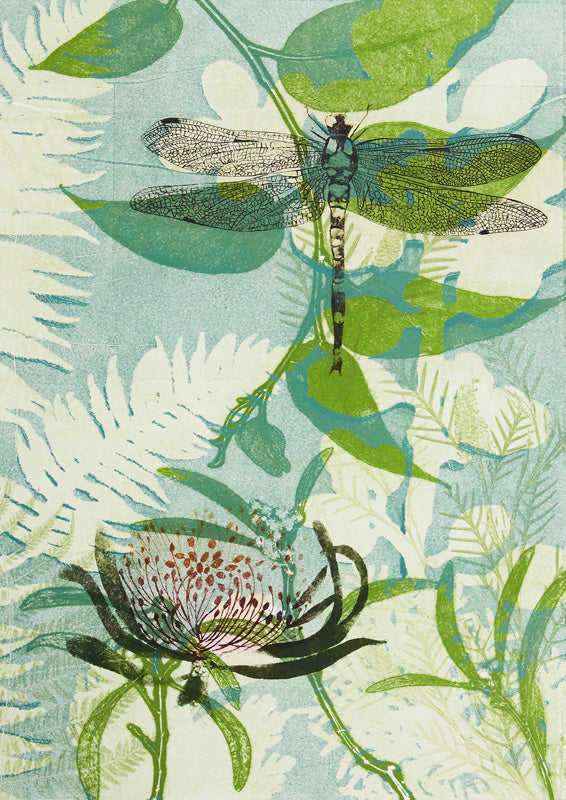 The Elusive Dragonfly And Waratah