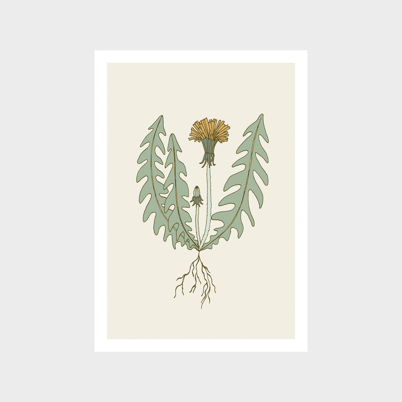 Dandelion Art Print