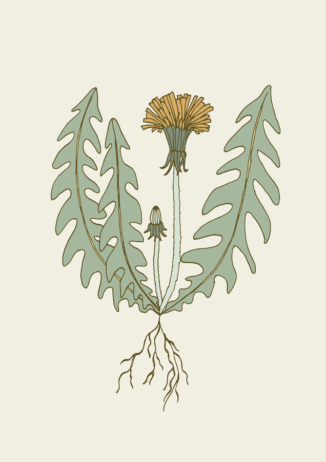 Dandelion Canvas Wall Art