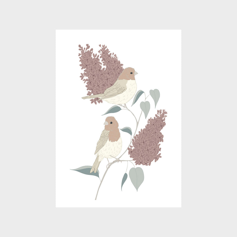 Finches and Lilac Art Print