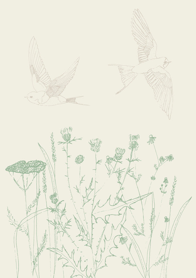 Swallows and Wildflower Canvas Wall Art