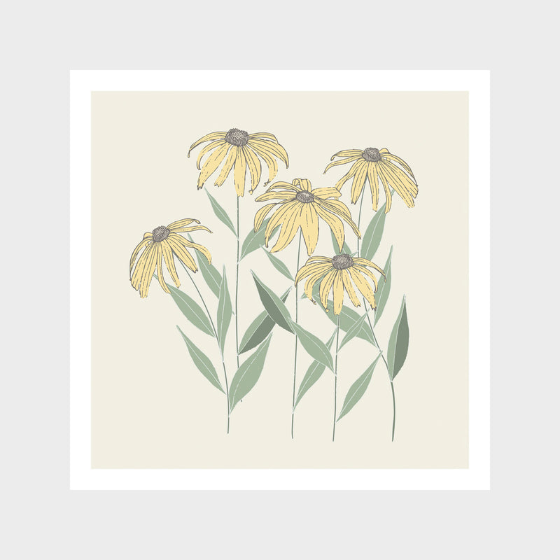 Yellow Susans Paper Art Print