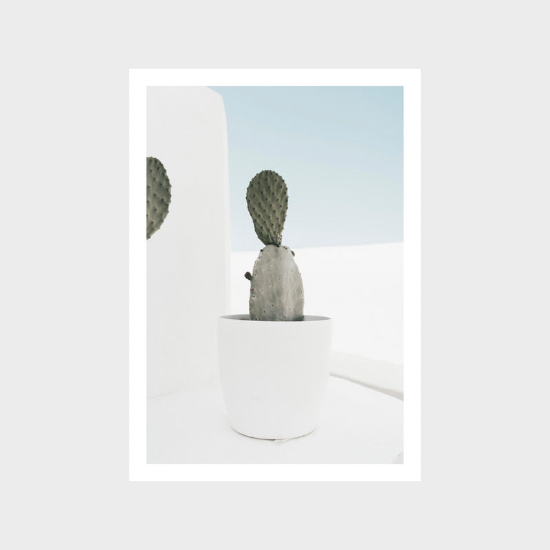 Minimal Cactus Santorini Art Print