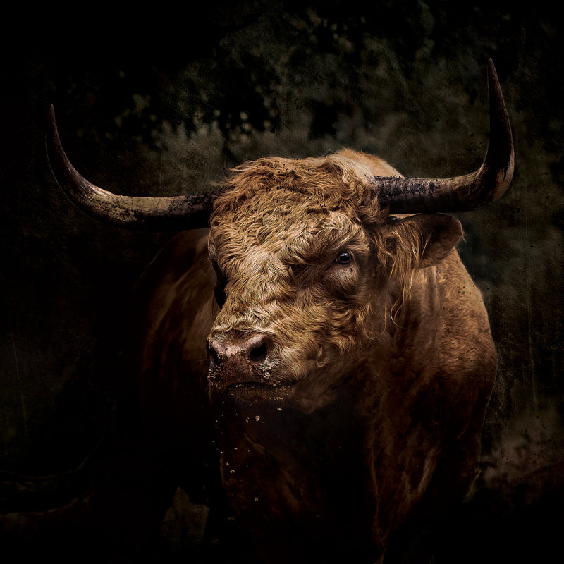Butch No. 2