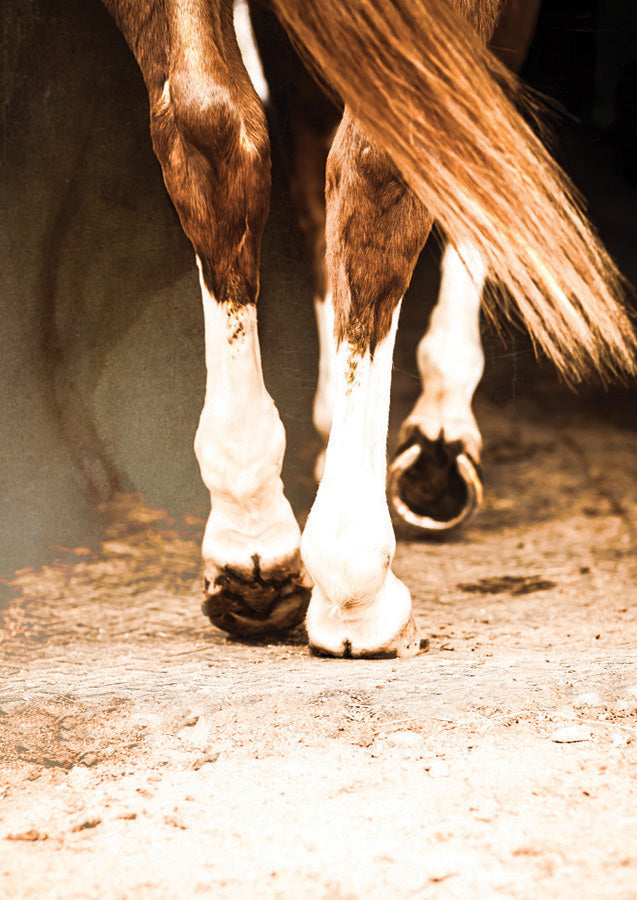 Happy Trails