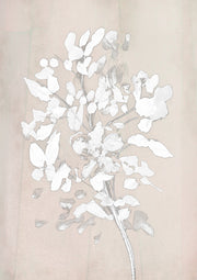 Soft Bloom