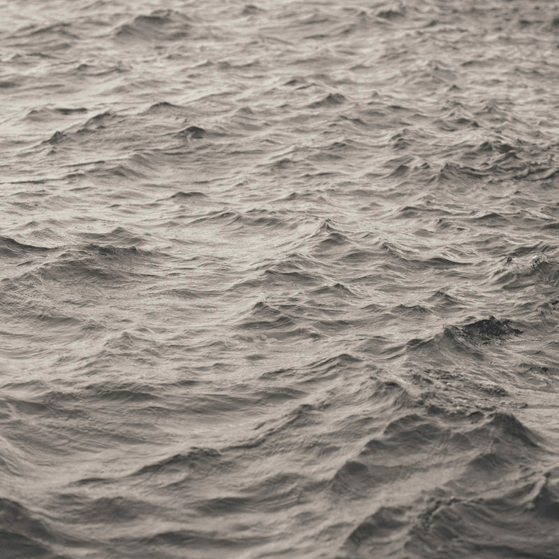 Nantucket Wave Study