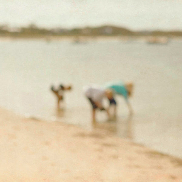 The Seashell Gatherers