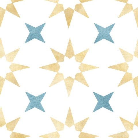 APO-STAR01