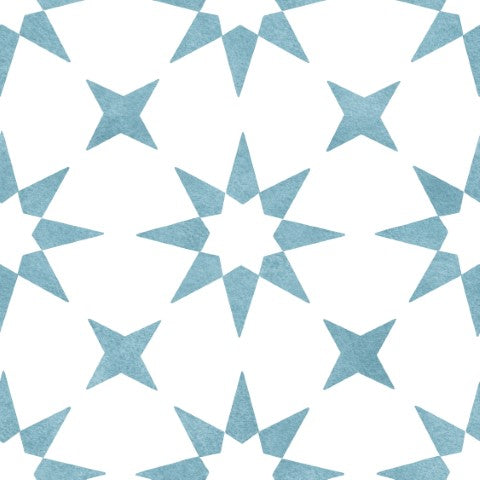 APO-STAR04