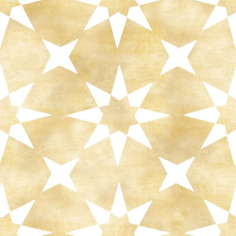 APO-STAR05