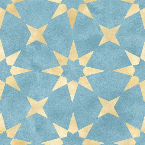 APO-STAR07