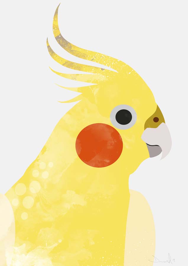 Cockatiel Canvas Wall Art