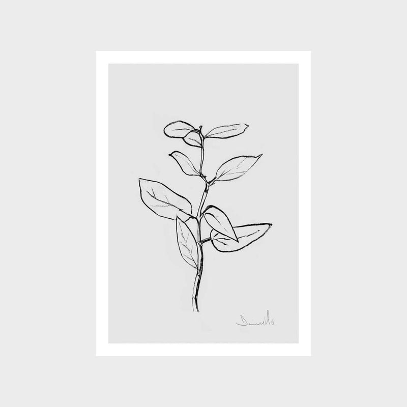 Eucalyptus Art Print