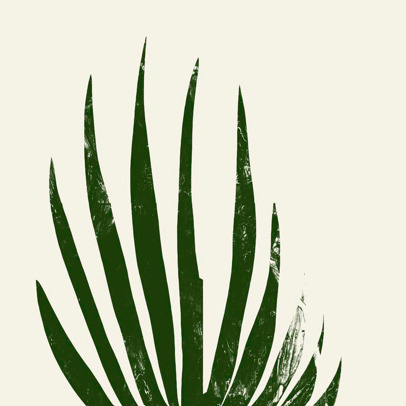 Plants 2 Canvas Wall Art