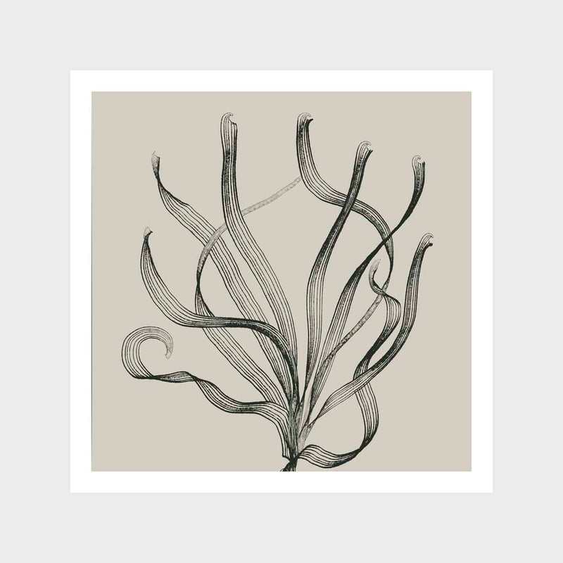 Seagrass Art Print