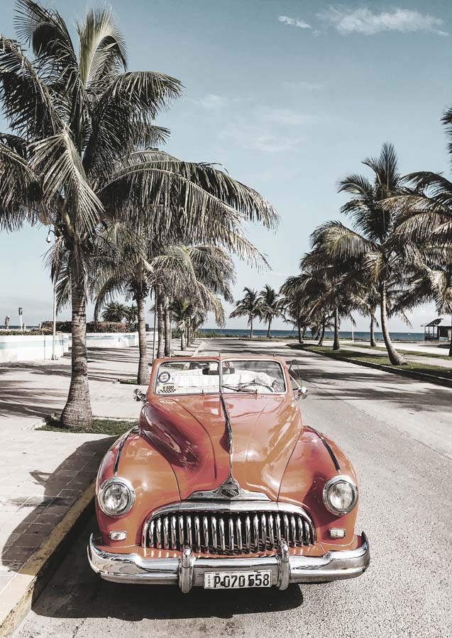 Beach Cruisin Canvas Art Print