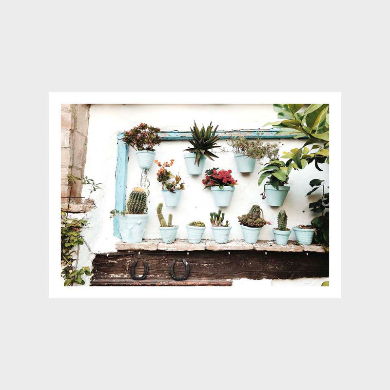 Cactus Wall Art Print