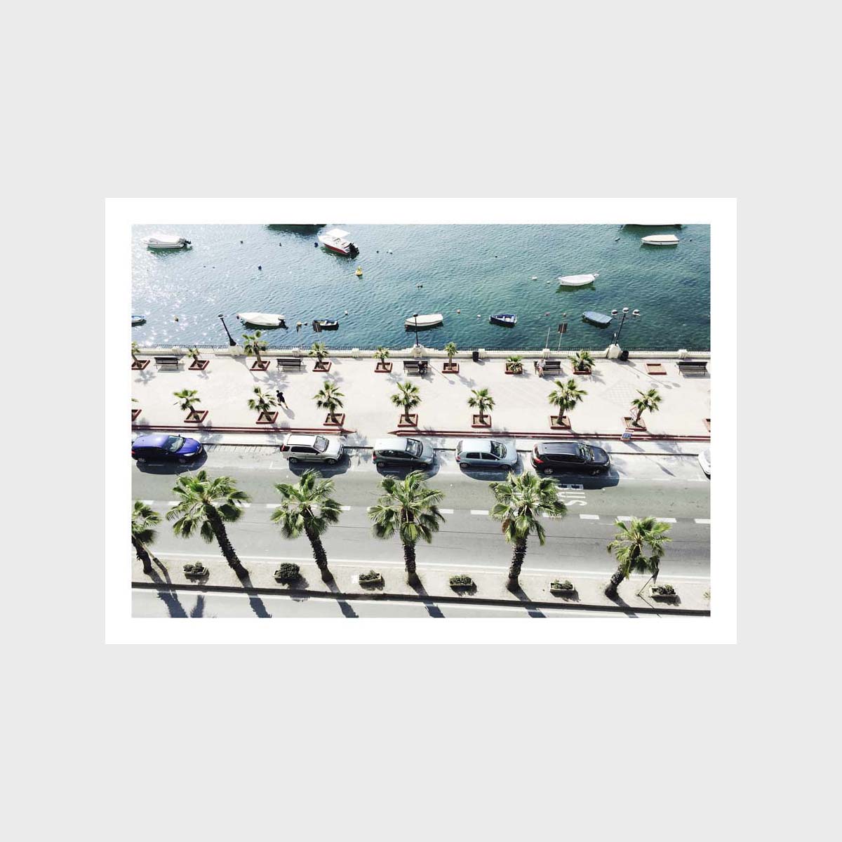 Palm Trees On Street Art Print