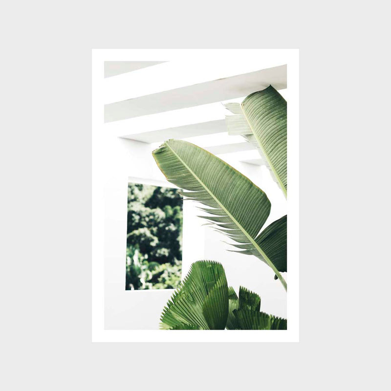 Resort Palms Art Print