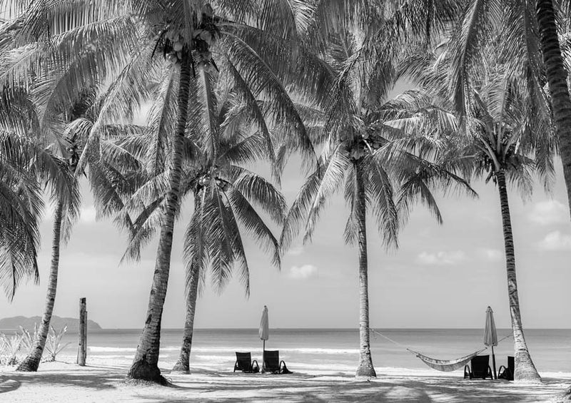 Under the Palms Canvas Art Print