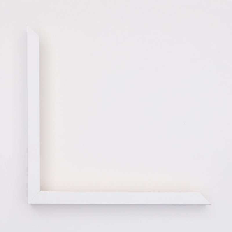Door 3 Art Print