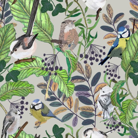 NLI-BIRD01